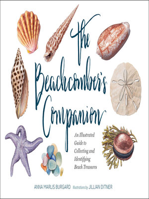 cover image of The Beachcomber's Companion